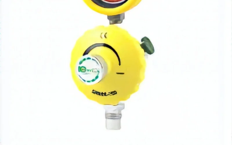 SR888 Series Vacuum Regulators